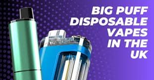 Disposable Vapes Uncovered: Everything You Need to Know Before Your Next Puff
