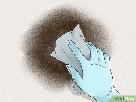 Mold Mastery Unleashed: Exploring the Expertise of MoldBros.org Section 1: Your Gateway to Mold-Free Living: Introducing MoldBros.org