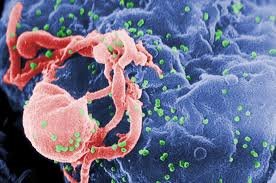 How an HIV Risk Calculator Helps You Understand Your Exposure