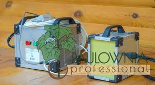 Beyond Chemicals: The Future of Woodworm Treatment is Microwave