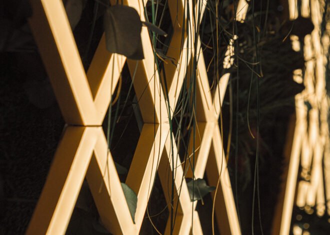 How Shashel Technology Works in Deep Wooden Beams