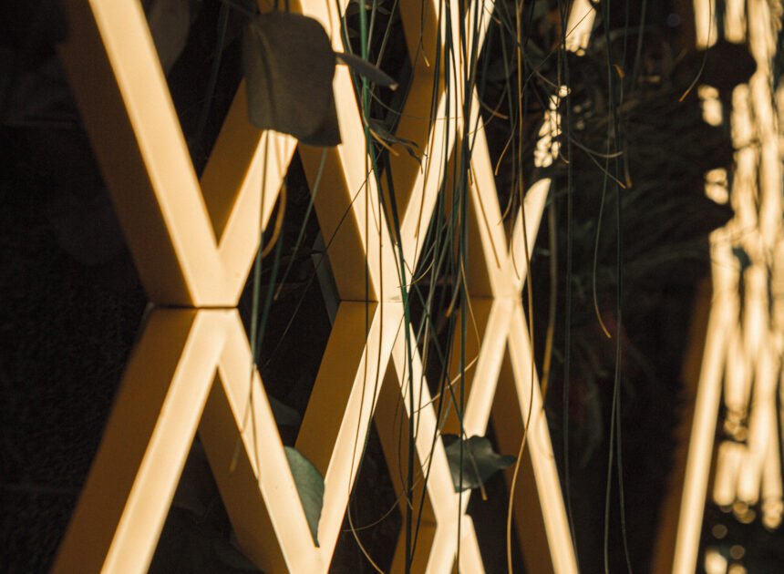 How Shashel Technology Works in Deep Wooden Beams