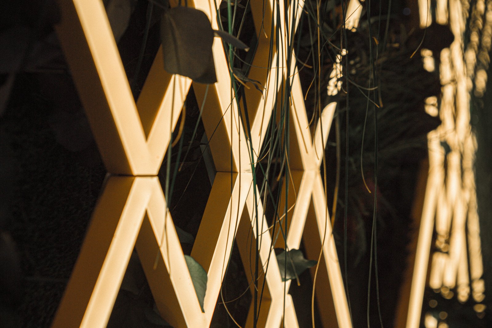 How Shashel Technology Works in Deep Wooden Beams